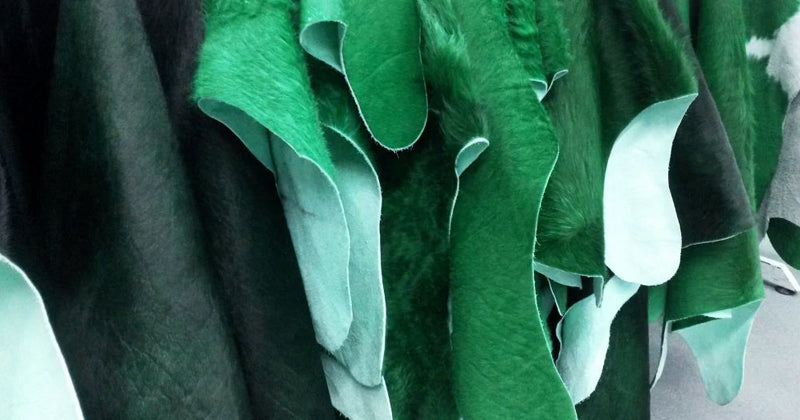 Where Does Leather Come From? - CoreFlexInd