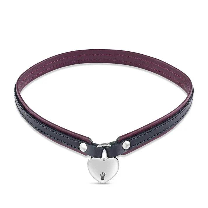 Day Collar - CoreFlexInd