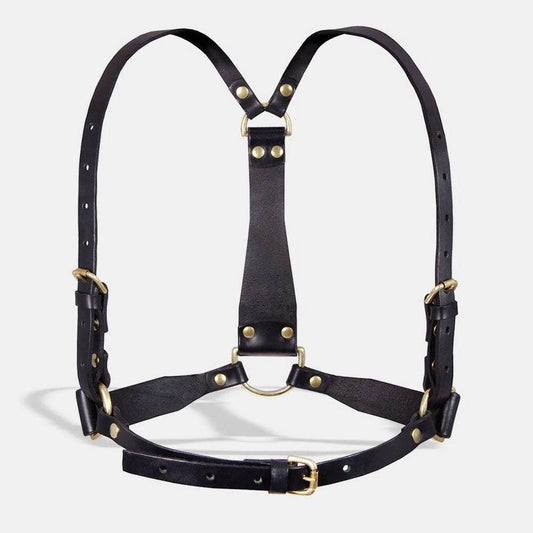 D-ring Harness