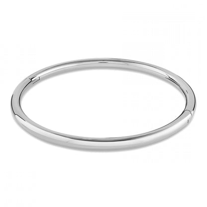 Silver collar neck on a white background