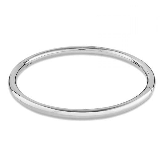 Silver collar neck on a white background