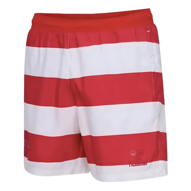 2024-2025 Denmark Fan Soccer Kit