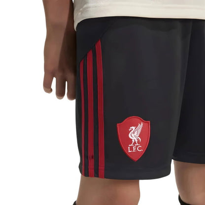 2025-2026 Liverpool Away Long Sleeve Soccer Kit